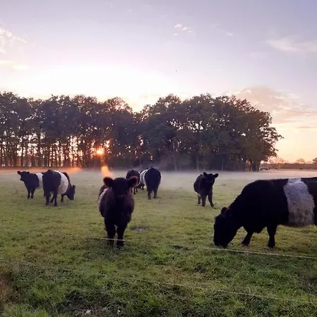 Gaestesuite „torfstich“ Lejlighed *