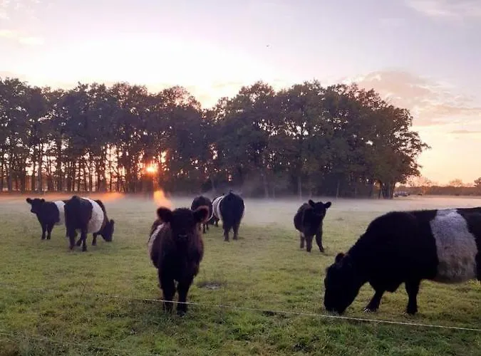 Gaestesuite „torfstich“ Apartamento *